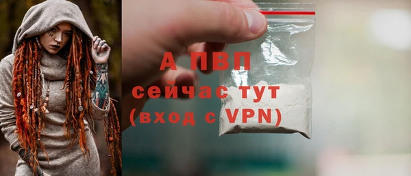трава Няндома