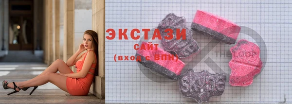 шишки Новодвинск