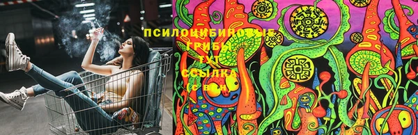 СК Нягань