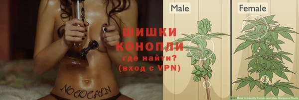 трава Няндома