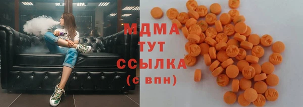 трава Няндома