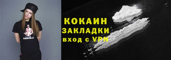 трава Няндома