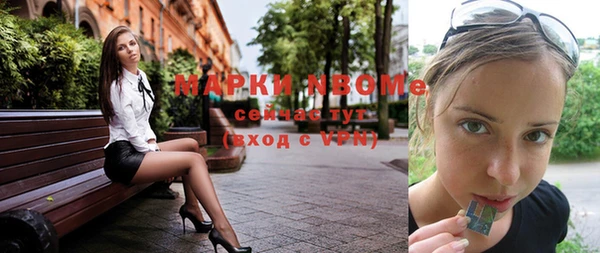 сатива Новозыбков