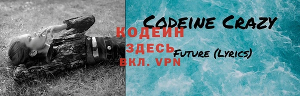 трава Няндома