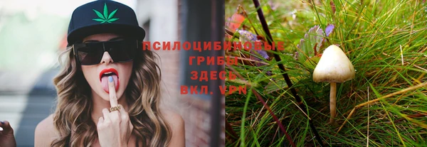 трава Няндома