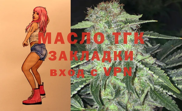трава Няндома
