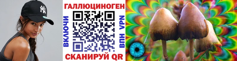 Галлюциногенные грибы GOLDEN TEACHER Туймазы